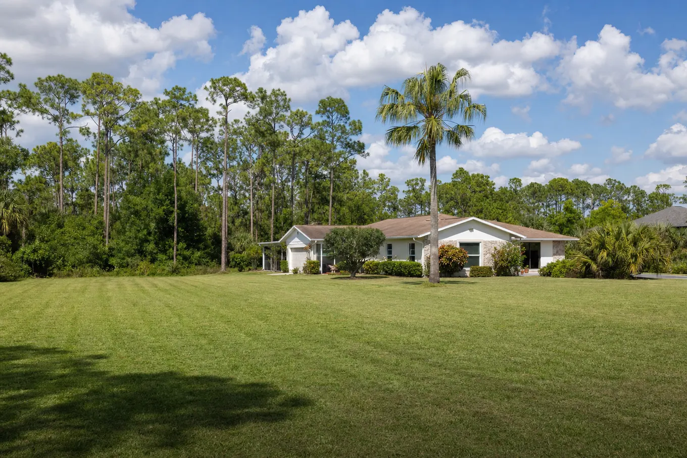 Big suburban Florida lot with Bahia grass and a greenbelt of pines behind