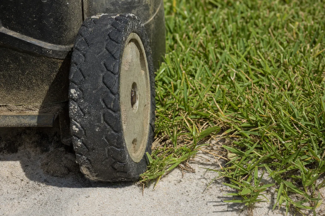 Pale sandy Florida soil showing through patchy grass, the blade-dulling ground under Gulf Cove lawns